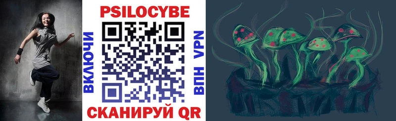 Псилоцибиновые грибы Psilocybe  OMG маркетплейс  Макарьев 